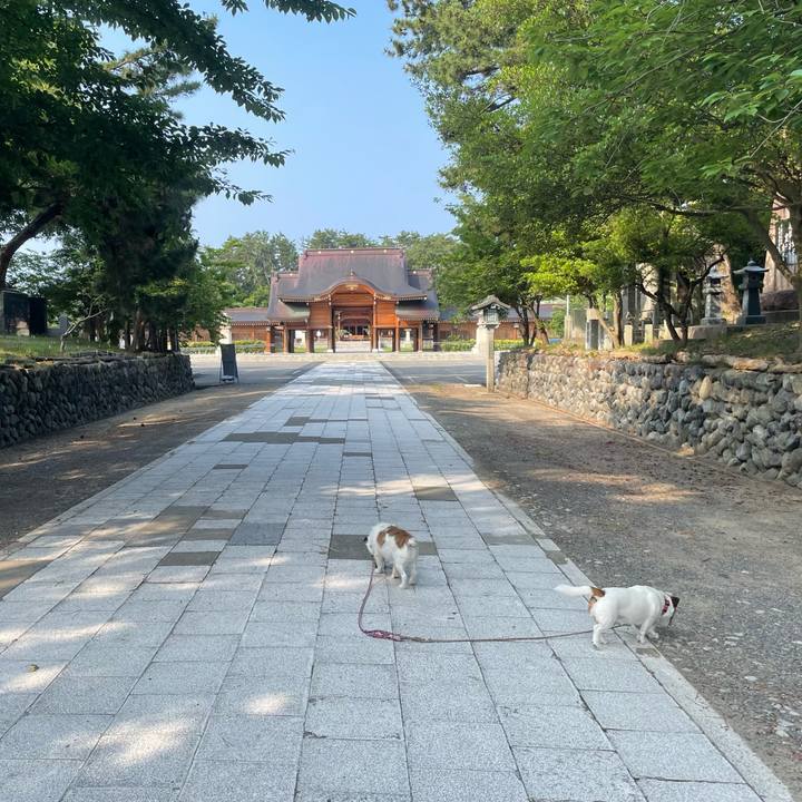 D83ce71d 8d1e 4a6b 8c55 b9875b00baef 1751413954068