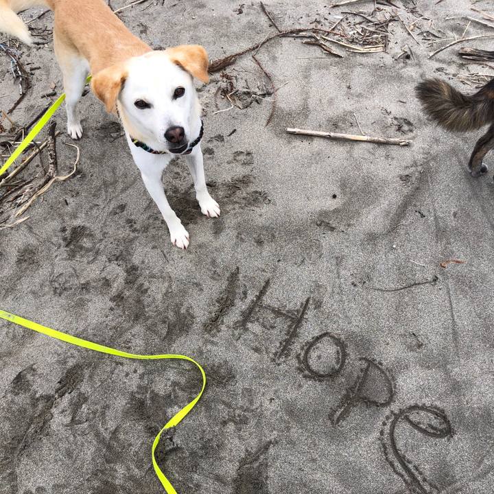 D83ceaf7 f57d 4070 8ad1 31bee525628e 1627473868077