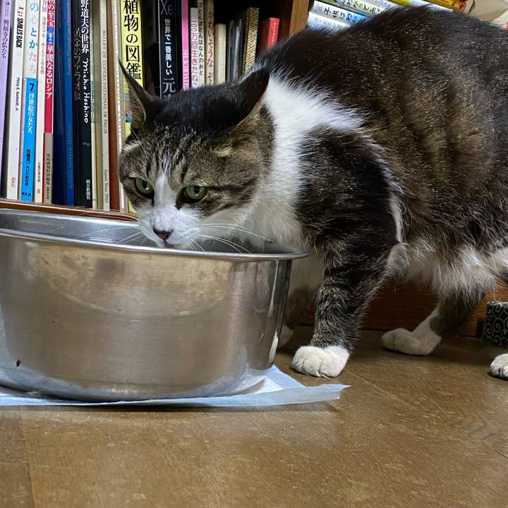 D83d11aa d43a 4f72 b0a2 88e023a9409a 1652697504169