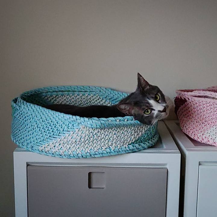 D83d1eff 9bad 454c 9a40 6a535722b43f 1660600399177