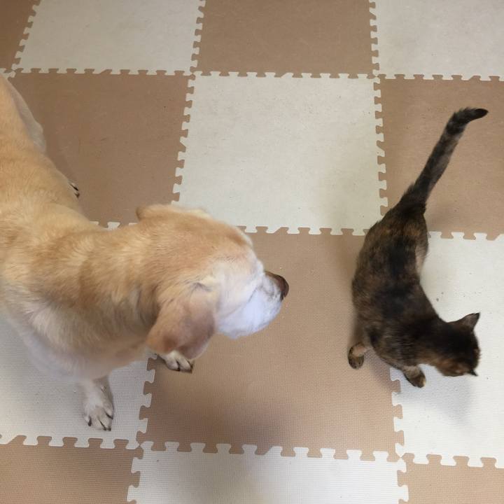 D83d3741 ad70 4004 b59d 8cbe1e466fc2 1612093986507