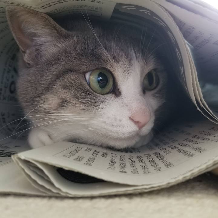 D83d4e23 8d15 4054 90f5 53a5ad8de71e 1526010281080