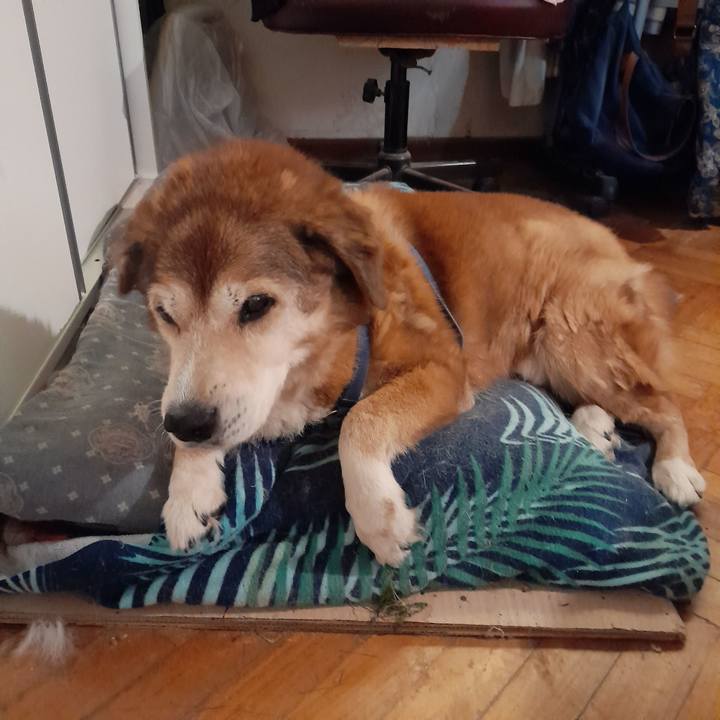 D83da46d 0d67 45dd b6f8 83cdf308854f 1762007974982