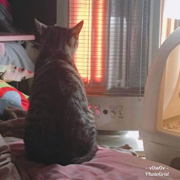 D83dadac 4c7b 472e 91a1 2a07eedd10c4 1545004337267