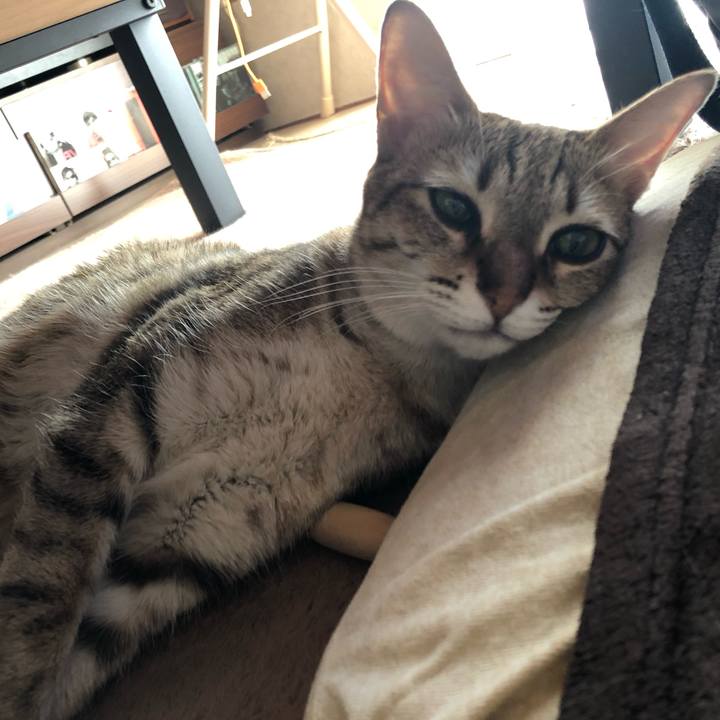 D83dbea9 32ec 48ee b241 d65a5aeb5989 1612858497184