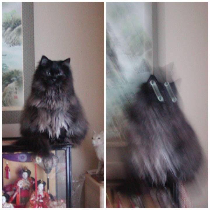 D83dd184 0f58 4952 873e 5590b30dc24c 1676870430201