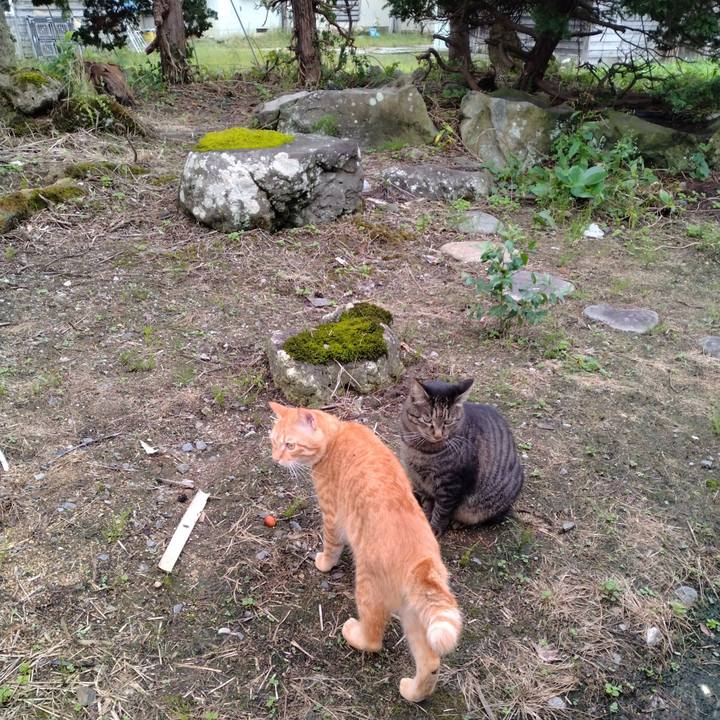 D83dd9d2 aa9f 4df9 b47b 39d43ee81168 1664003541148