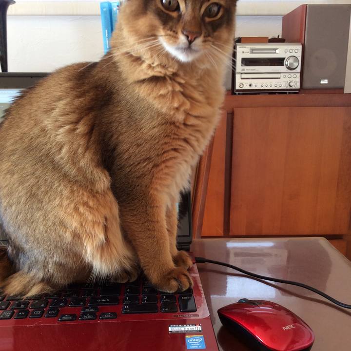 D83de97a 224b 4414 9dd3 b5da4a92fb60 1576811745091