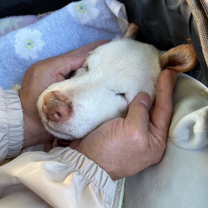 D83df5dc 7da1 44f3 8ac2 3837db4888b4 1699891308722