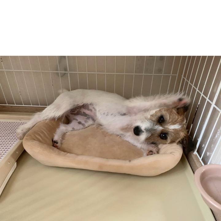 D83e5559 565d 4b46 afd3 d329371b86ef 1589352654415