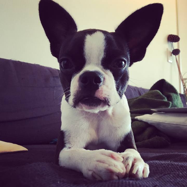 D83e5c84 1f8e 49c3 a23c 024018ee7348 1510103814730