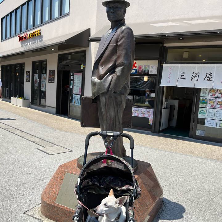 D83e7cb0 8f83 4191 9023 26ce8f2f2c83 1684571419327