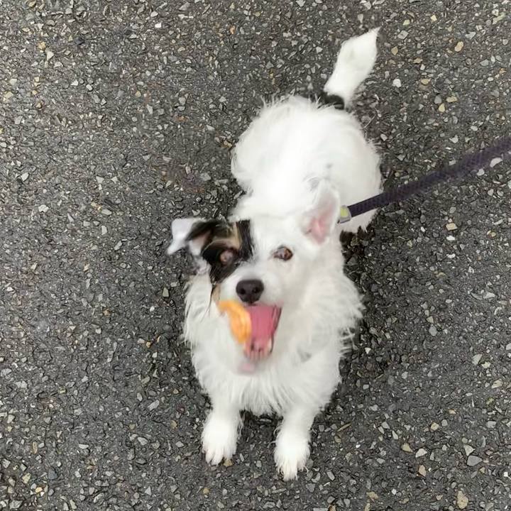 D83e880a f7d8 4f5c 8526 aafbeeaed70c 1659597511825