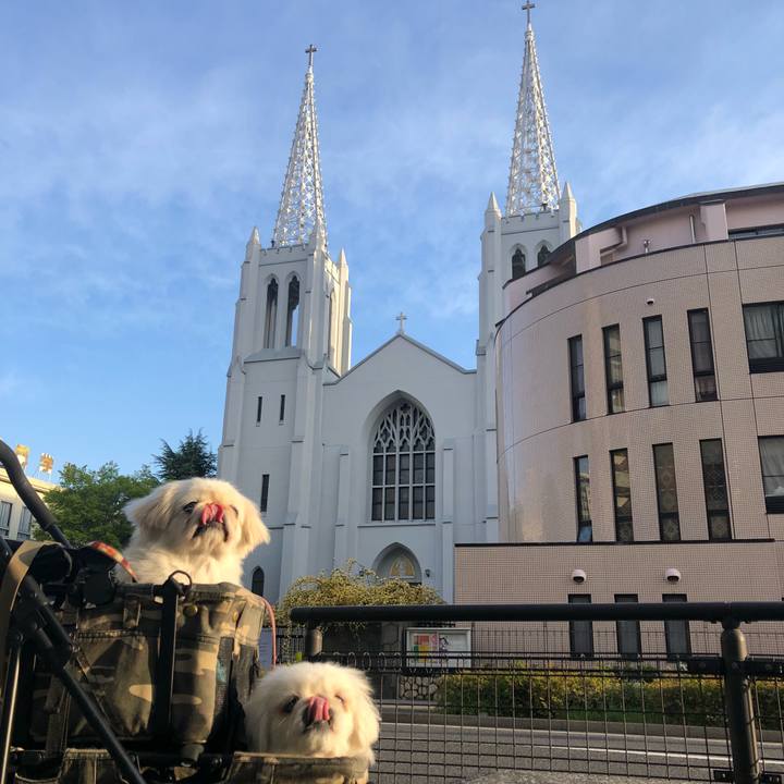 D83ec940 29c2 477c a793 55cd3a92e4fe 1587592765860