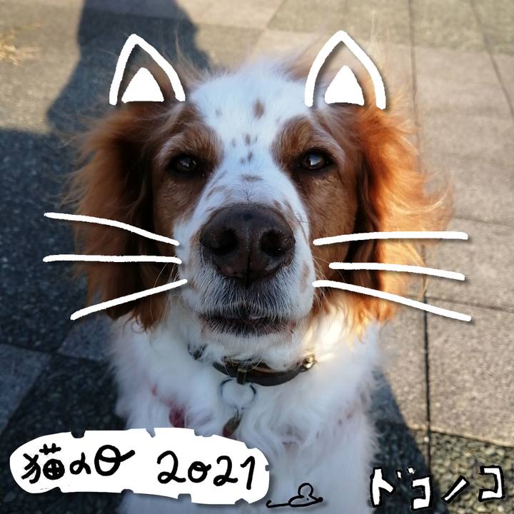 D83f26b7 3ccc 420a a183 24cd6e613423 1613979158661