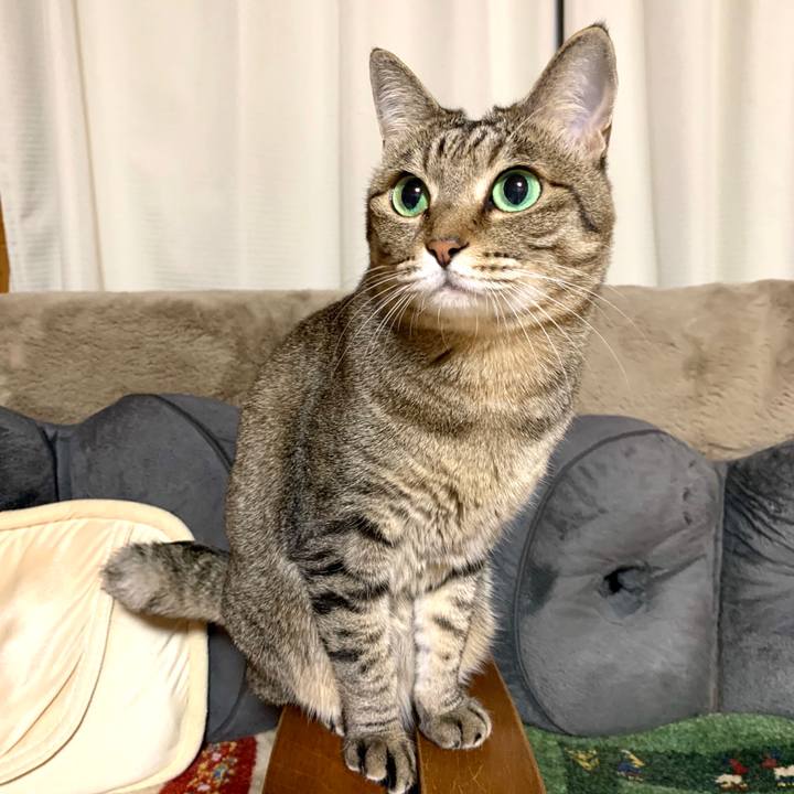 D83f6b39 517e 4684 b2dc f52cd9558707 1588339582661