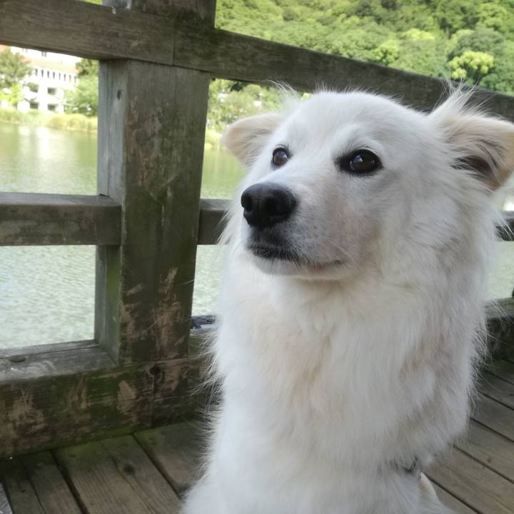 D83f7faa 732e 47cb 97aa d22145dd13fb 1526696669888