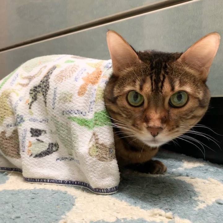 D83fb4d0 2112 4b1b b0f6 21efc4c4cb81 1609712729205