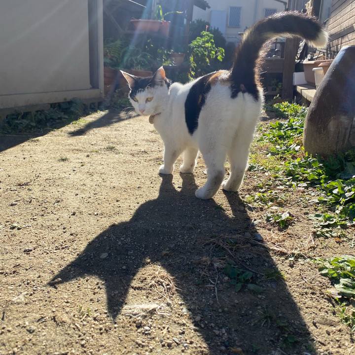 D83fdc4a b15e 4c1d a788 c7811aaeaed3 1638180776069