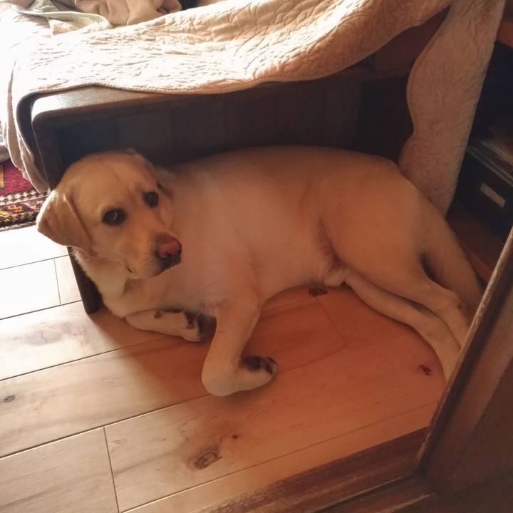 D83fde09 e8ab 4bbc 9ceb dd25dace06e2 1571547146379