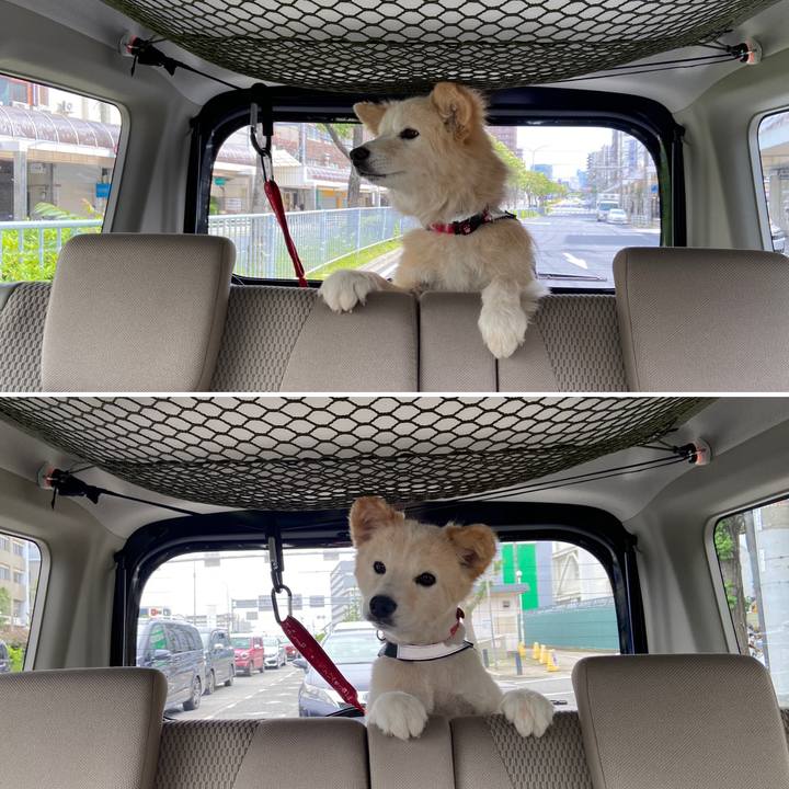 D83fe870 dad2 4467 89dd e9bc8de0334c 1652608993625