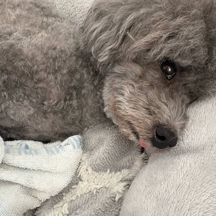 D84001b3 9683 421c 801f cb468312fcf0 1761186878097