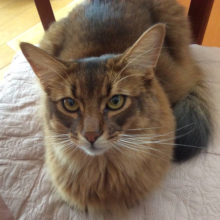 D84043fc 3cf7 44b1 b10b 721f267ad2a5 1628243769621