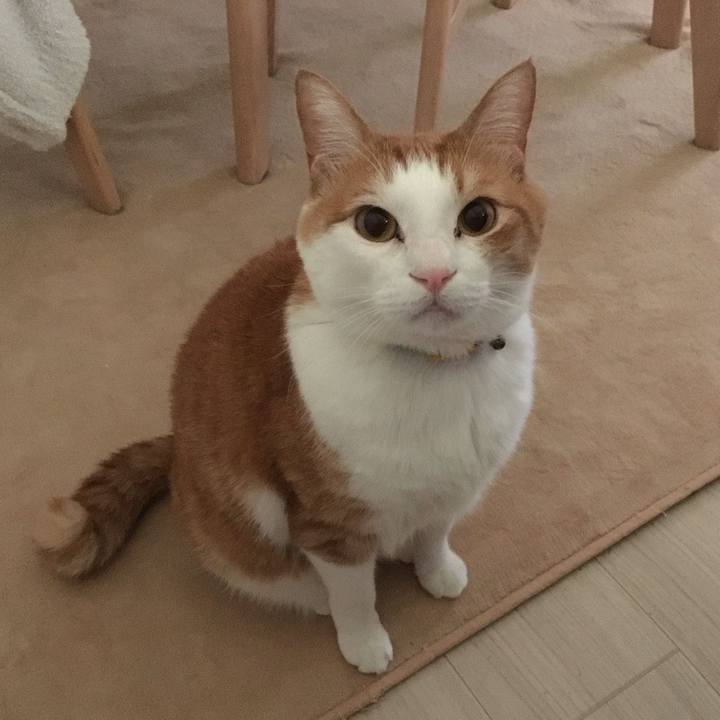 D8405f8e 4dec 4012 8e02 c1681044b31c 1586907671816