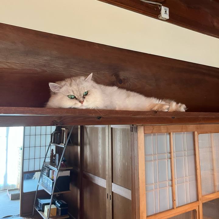 D840ca19 b6d8 4897 b2c4 5683817dde60 1721438406341