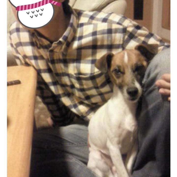 D840d779 d0dc 4e68 b726 ace2277cc7b9 1612236972065