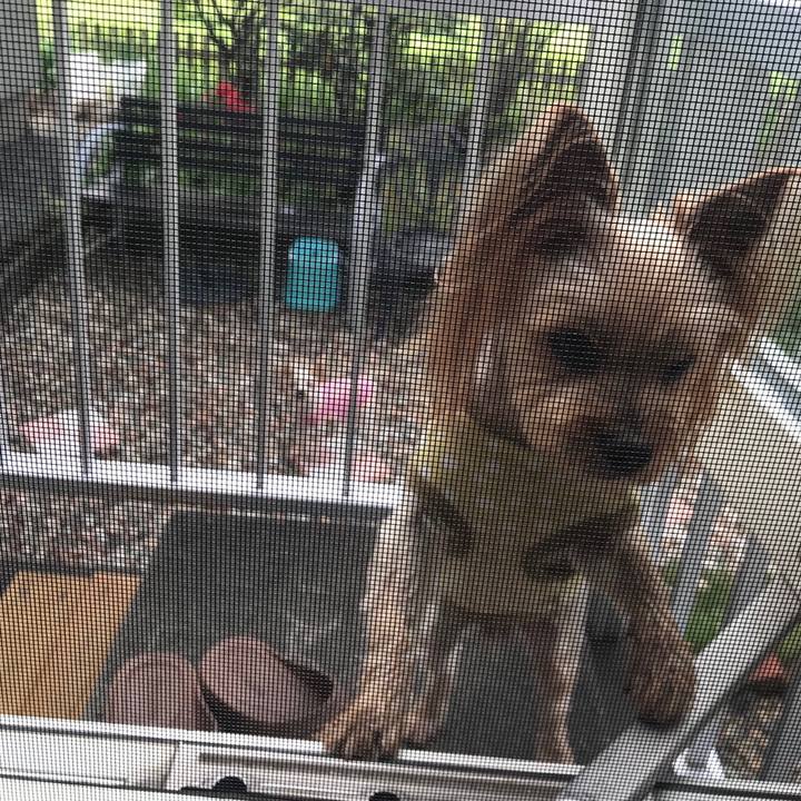 D840d7c9 43d3 42a2 b3a8 7177be4a32d5 1558775183941