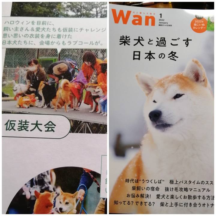 D840e7f5 d271 4367 a88c 2bf4a8703581 1643508319152