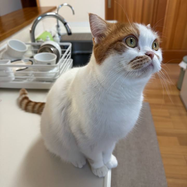 D8414b83 c762 4afd 8bc1 e64fae27b3c5 1766460615812