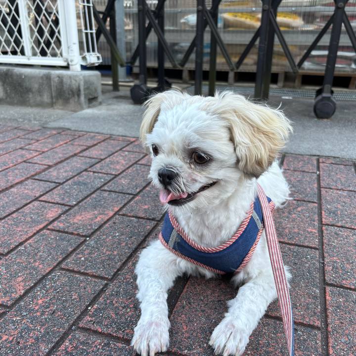 D8415ebe 4184 44c0 b72d e1e181c4c9f4 1753825657898