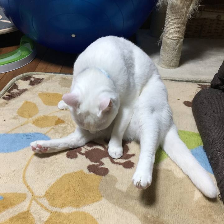 D8417376 484a 478c 99cd 8882a92f0b70 1518531801786