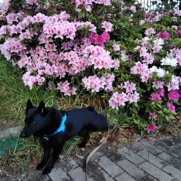 D8417bd1 5f14 4572 ab89 6dd9699ac094 1556315575735