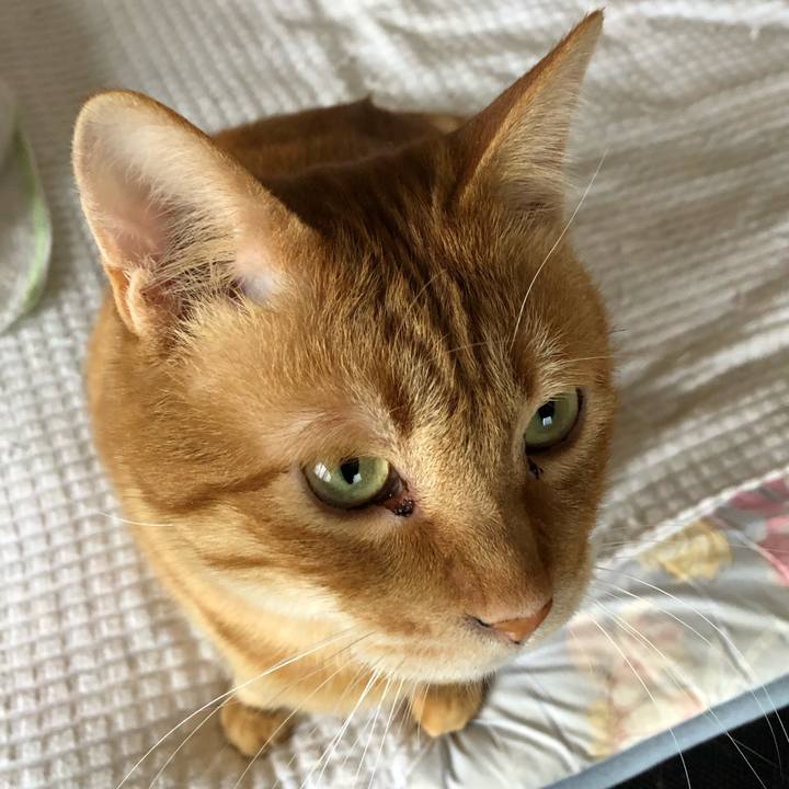 D8418ff5 bf02 4e6d 95fb 2d8adee41e29 1586470423112