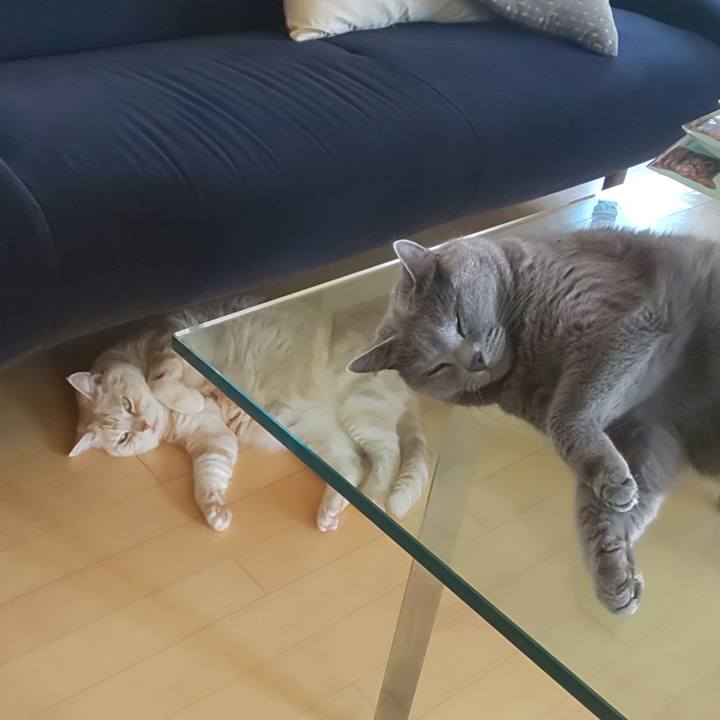 D8419ee3 d49f 4092 9c90 2eb774dc65bf 1598599284450