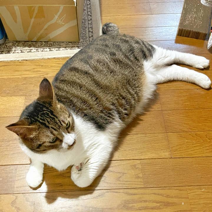 D841aaf5 592f 47e0 960a 85b71a90309e 1753916092474