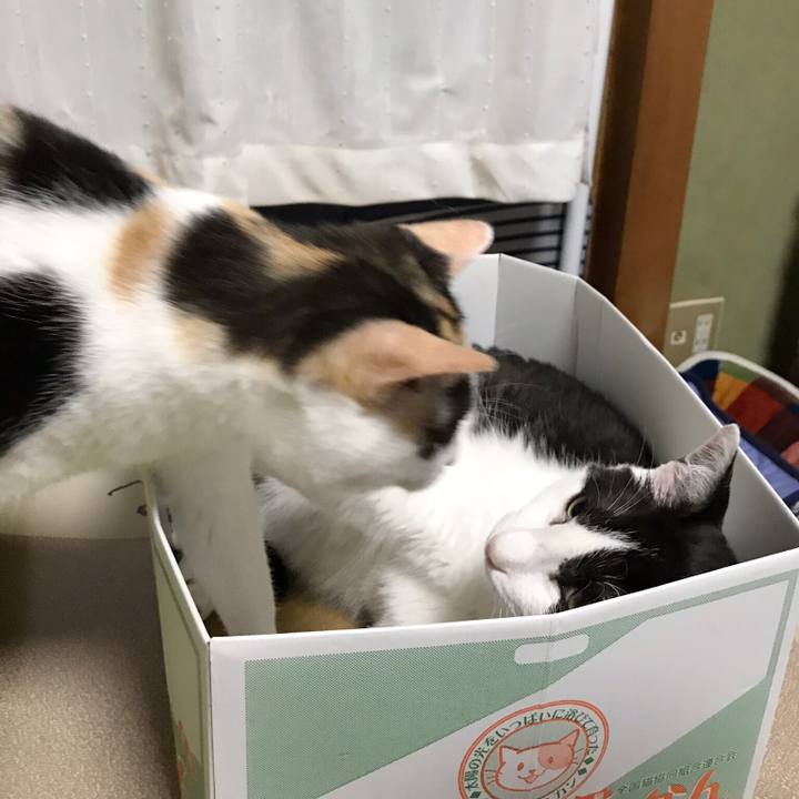 D841d6ad 60f6 4c20 9625 343e85ea74e1 1532615278624