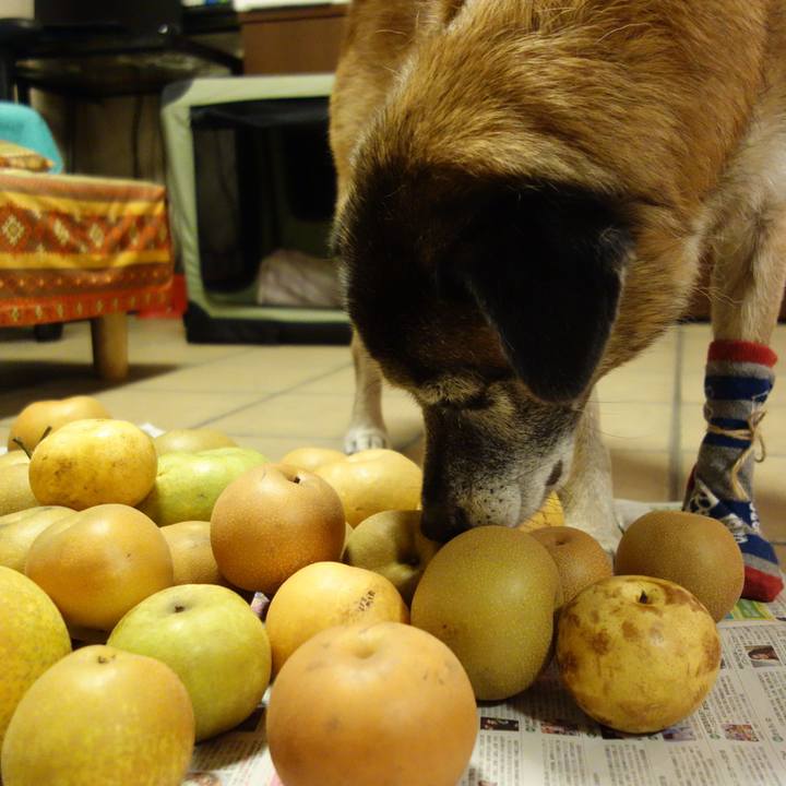 D841da4f 57dd 4078 9c07 42f8268e814a 1645926223637