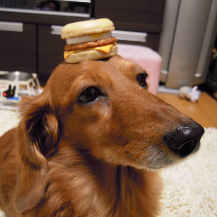 D84208ca 37cd 41a1 a710 68a71468fe2a 1538157434945