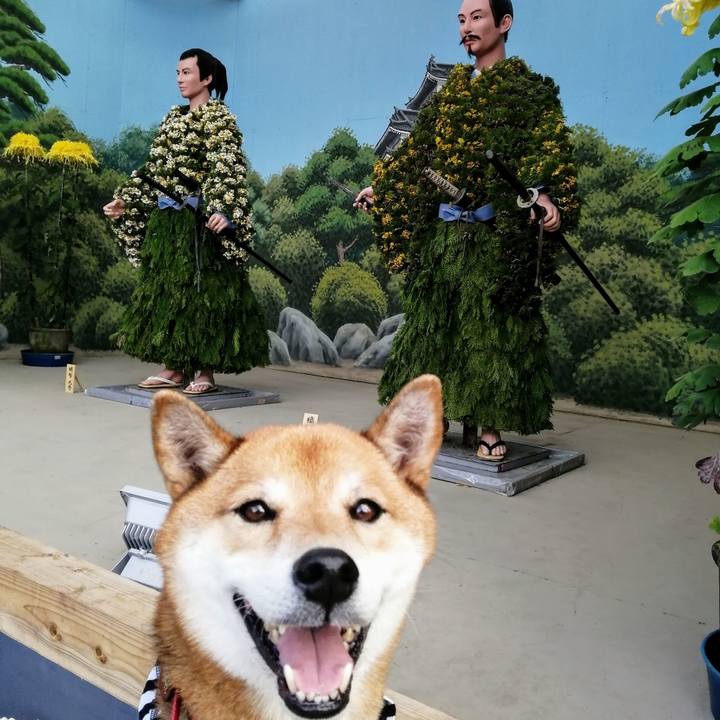 D8421daa 132b 4482 af9e 9c2c1c70d01a 1606041760903