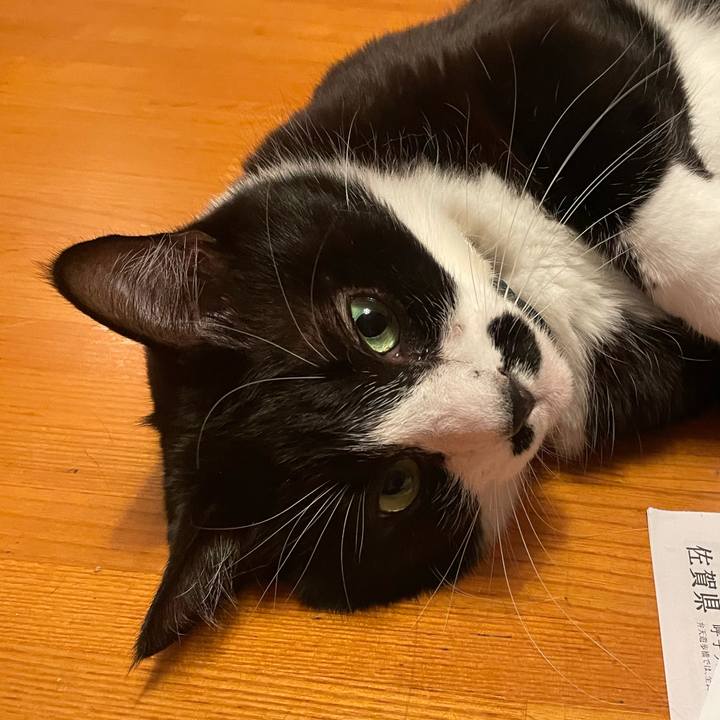 D8423650 487c 4dda accd 1ab647b0545f 1737376080245