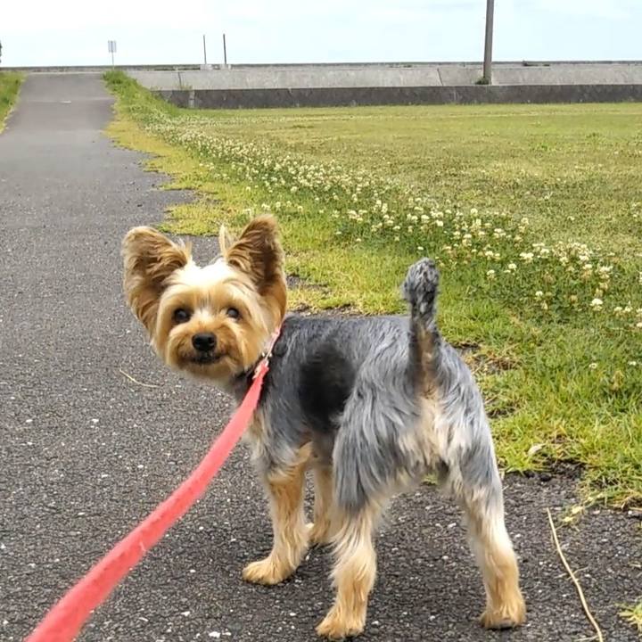 D84267e2 fcc4 477c 9974 05e976ea8179 1625658642603