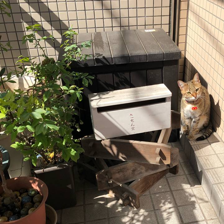 D8426a69 2453 4132 b938 81ecf7824b28 1616635792374