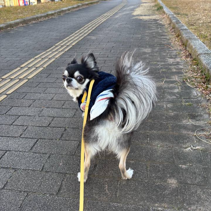 D8426f1f 116b 41cc 8cda a1beac614297 1739637044472