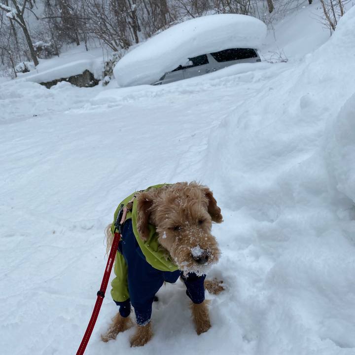 D8429646 b483 4942 a904 229fb9e536d5 1643448201961