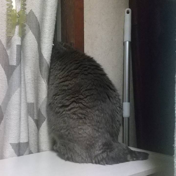 D842a152 d566 40ac af21 886018dd38b4 1683567145303