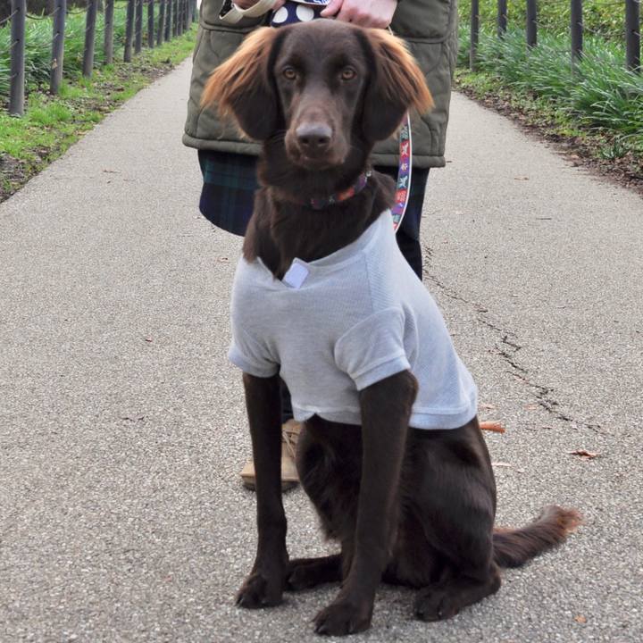 D842c353 687a 4dac 8508 8d60c7c15457 1575255190456